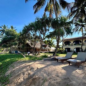 Cookie Aunt Beach Hotel Bentota